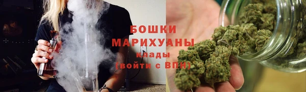 МДПВ Бронницы