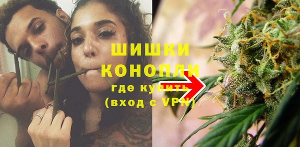 тгк Бородино