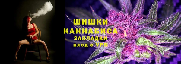 тгк Бородино