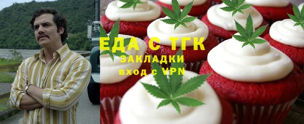 тгк Бородино