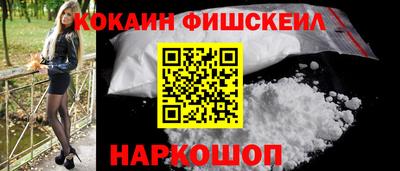 дмт Гай