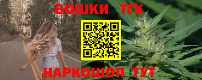 дмт Гай