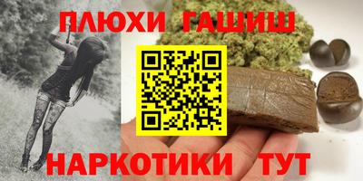 дмт Гай