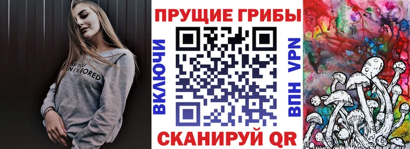 Псилоцибиновые грибы мицелий Можайск