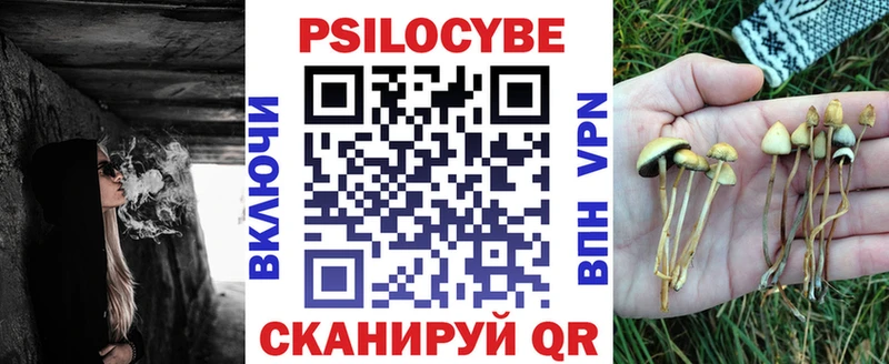 Псилоцибиновые грибы мицелий дарнет шоп мориарти официальный сайт Можайск