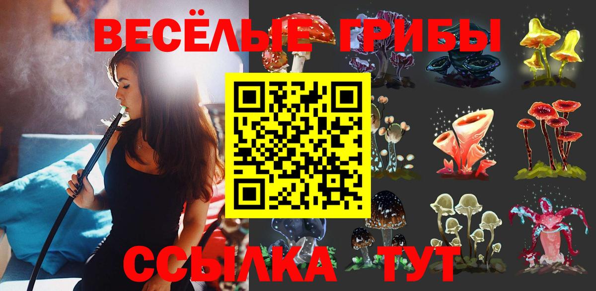 Галлюциногенные грибы Psilocybine cubensis Можайск